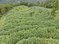 四川网点