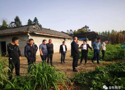 新疆建设兵团四师64团一行千里迢迢考察大邑金牧粮草种养循环产业并嘱托引入伊犁